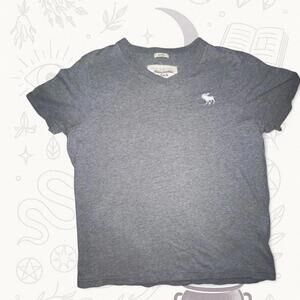 Abercrombie & Fitch Gray Logo Tee V Neck Medium